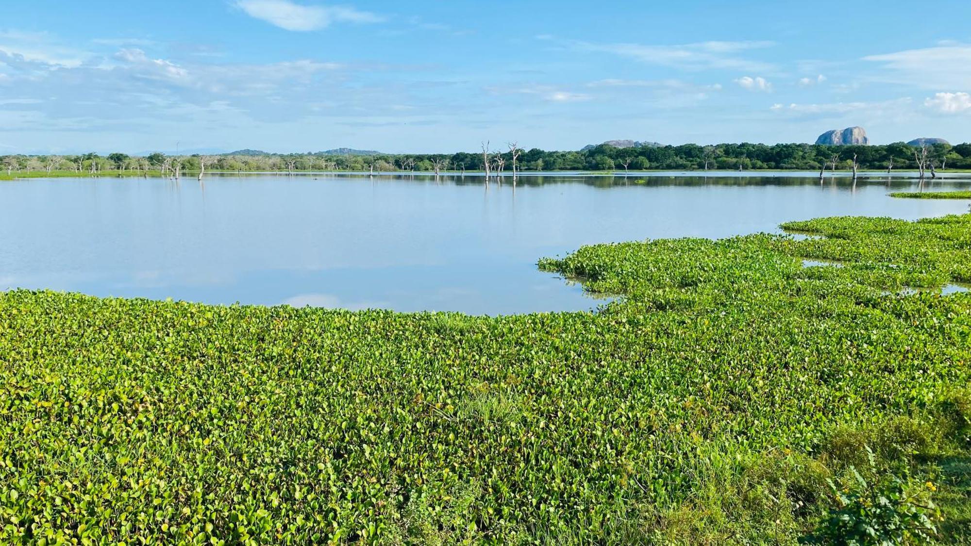 Attale Resort Tissamaharama Esterno foto